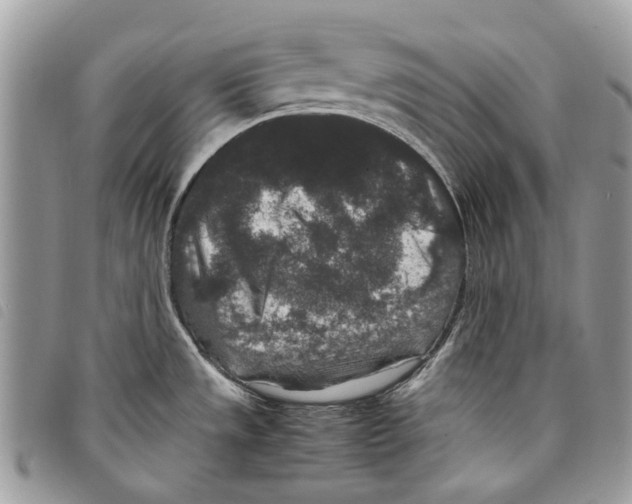 X0000097821533200804111003