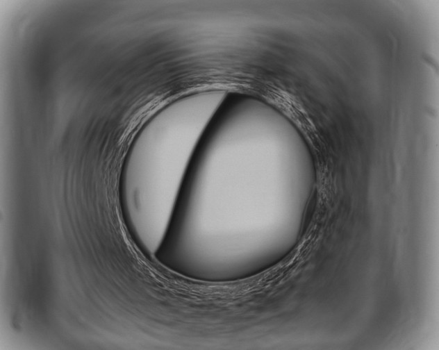 X0000097830001200803140839