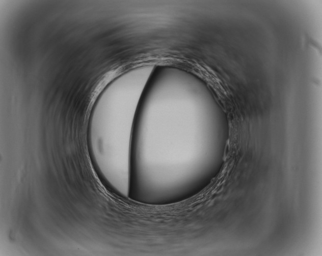 X0000097830003200803140838