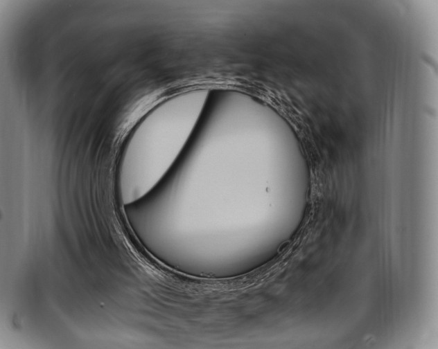 X0000097830005200803140838