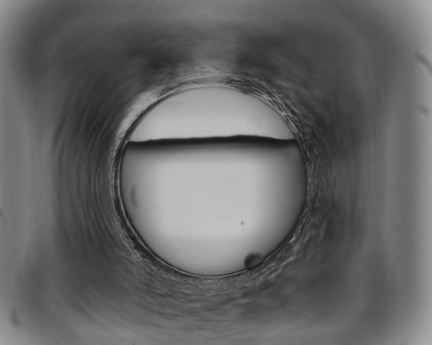 X0000097830006200803140838