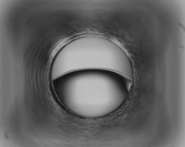 X0000097830007200803140838
