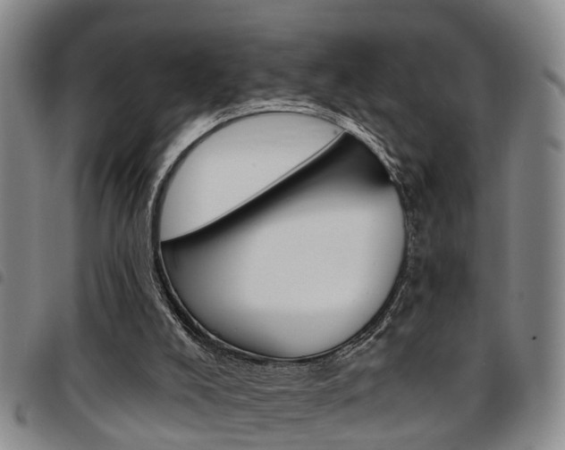 X0000097830008200803140838
