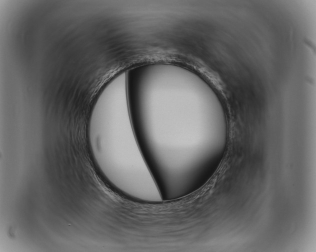 X0000097830009200803140838