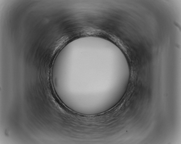 X0000097830010200803140838
