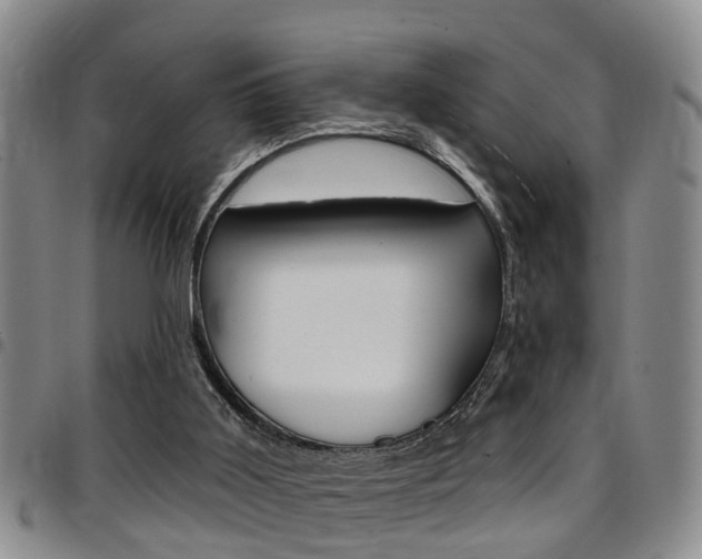 X0000097830011200803140838