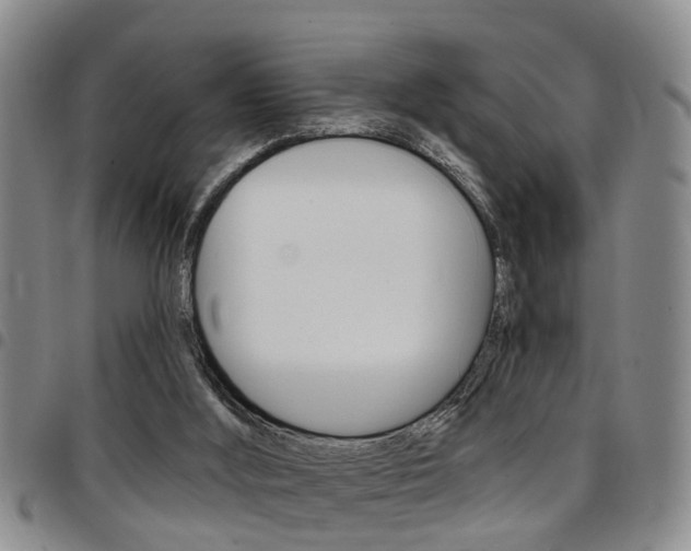 X0000097830012200803140838