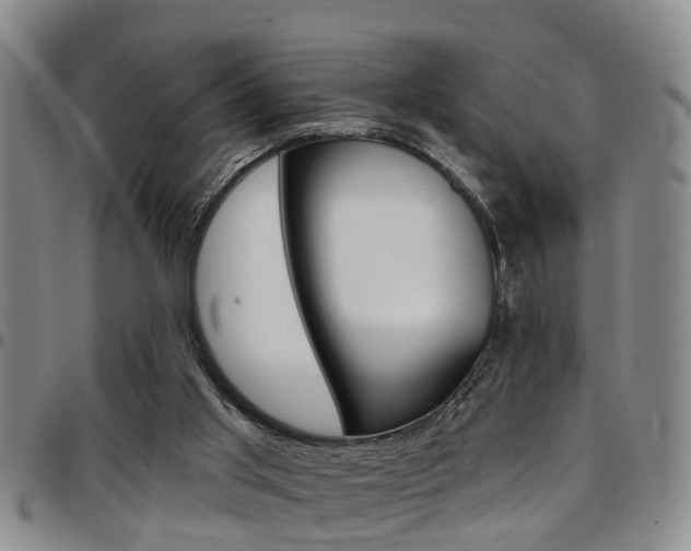 X0000097830013200803140838