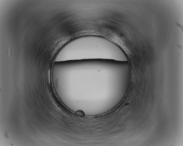 X0000097830014200803140838
