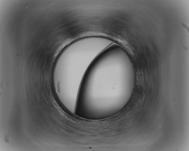 X0000097830015200803140838