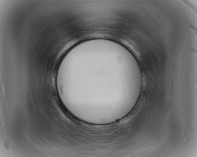 X0000097830016200803140838