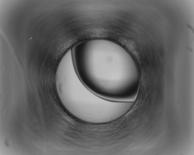 X0000097830017200803140838
