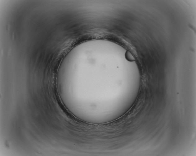 X0000097830018200803140838