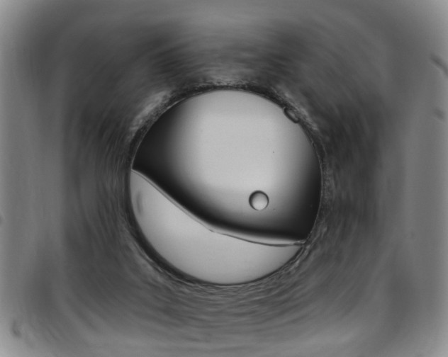 X0000097830019200803140838