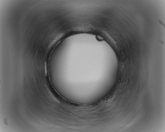 X0000097830020200803140838