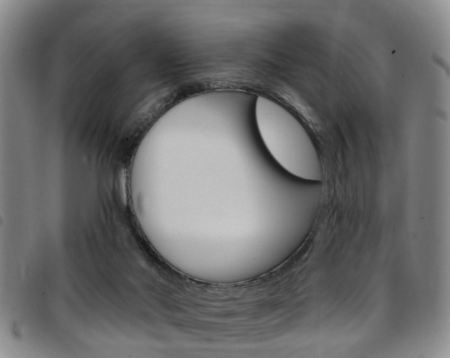 X0000097830022200803140838