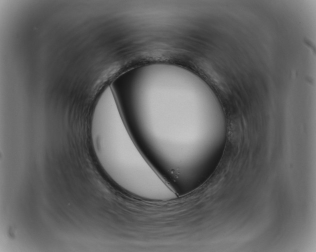 X0000097830023200803140838