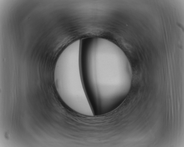 X0000097830027200803140838