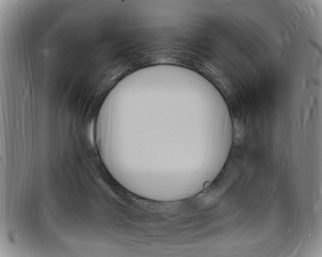 X0000097830028200803140838
