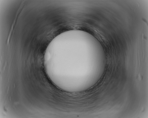 X0000097830030200803140838