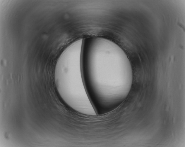 X0000097830031200803140838