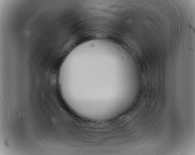 X0000097830032200803140838