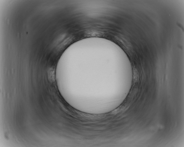 X0000097830036200803140838