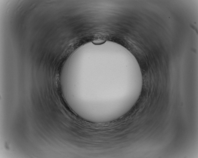 X0000097830038200803140838