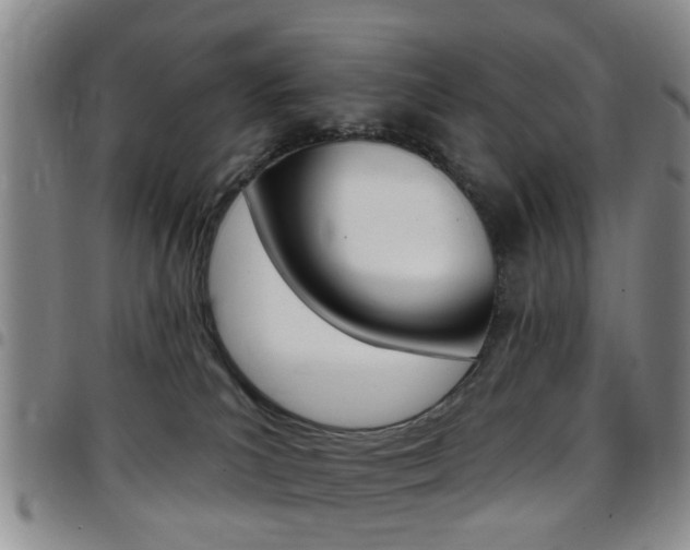 X0000097830039200803140838