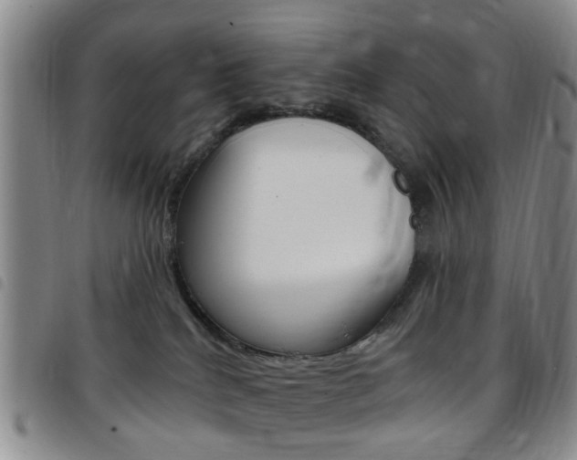 X0000097830040200803140838