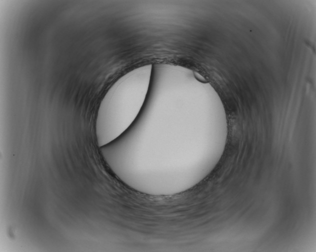 X0000097830042200803140838