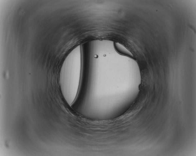 X0000097830044200803140838