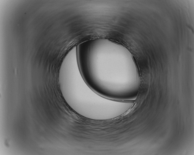 X0000097830045200803140838