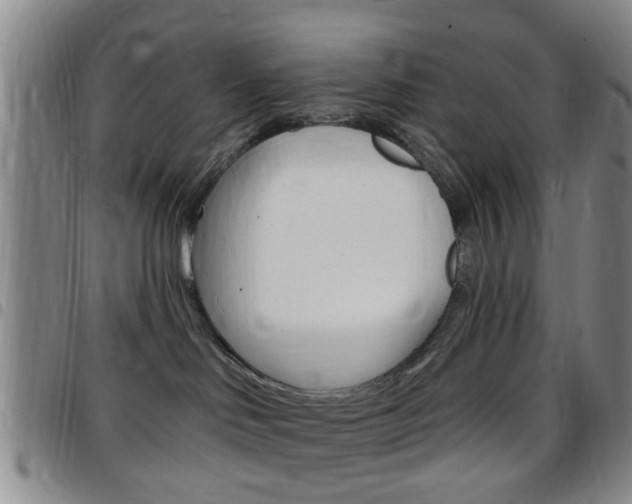 X0000097830046200803140838
