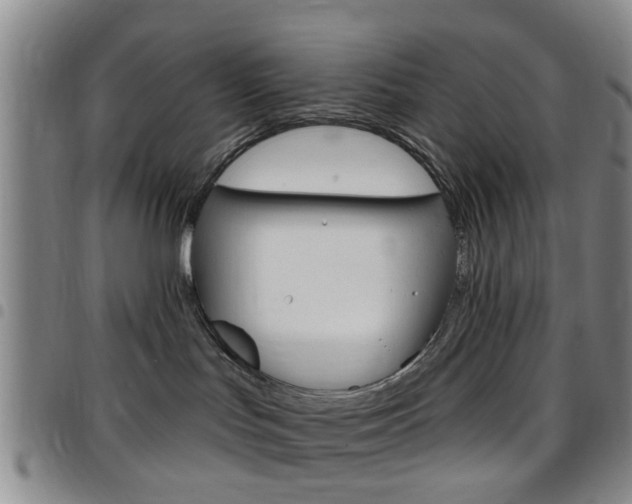 X0000097830047200803140838