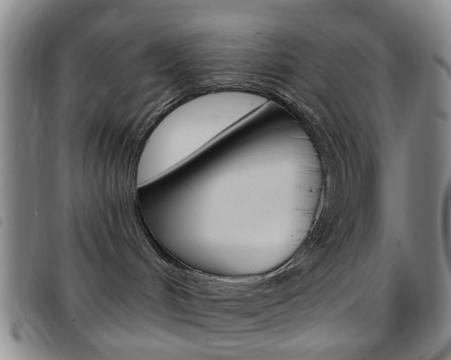 X0000097830048200803140838