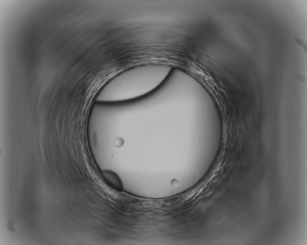 X0000097830049200803140837