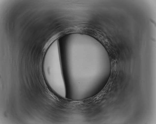 X0000097830051200803140837