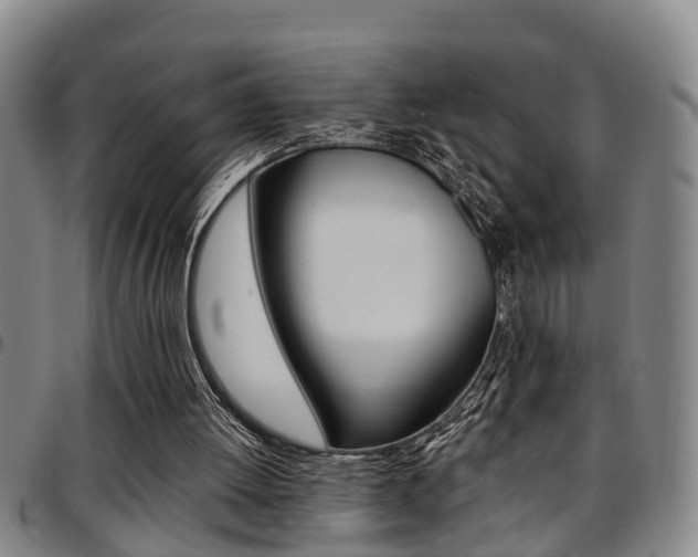 X0000097830052200803140837