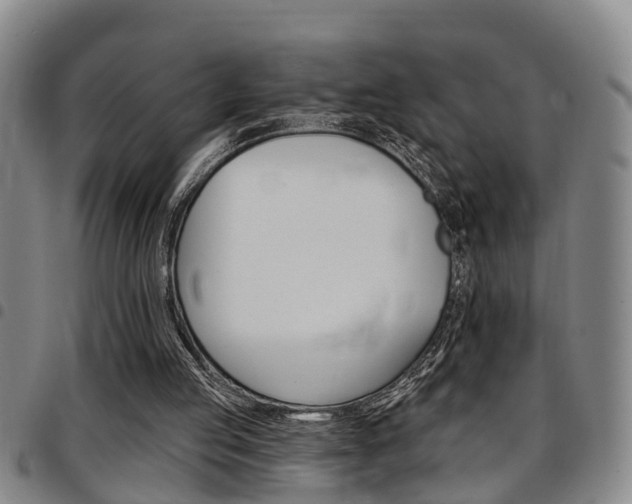 X0000097830053200803140837