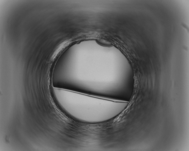 X0000097830054200803140837