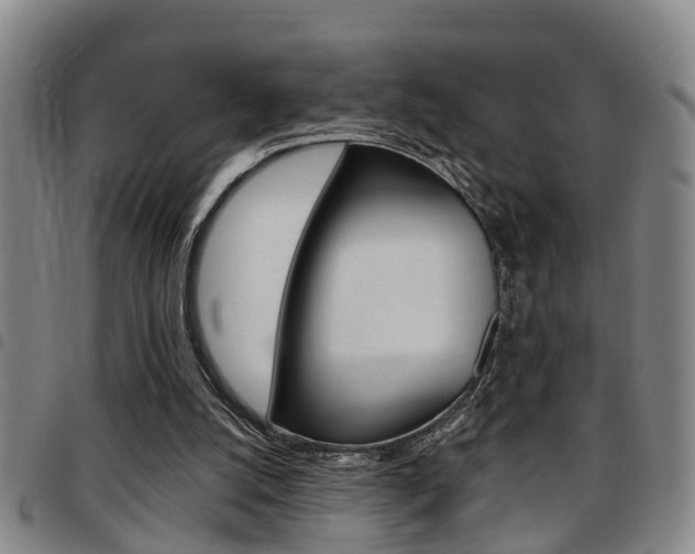X0000097830056200803140837