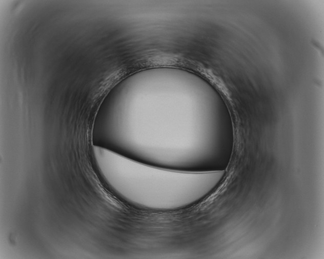 X0000097830057200803140837