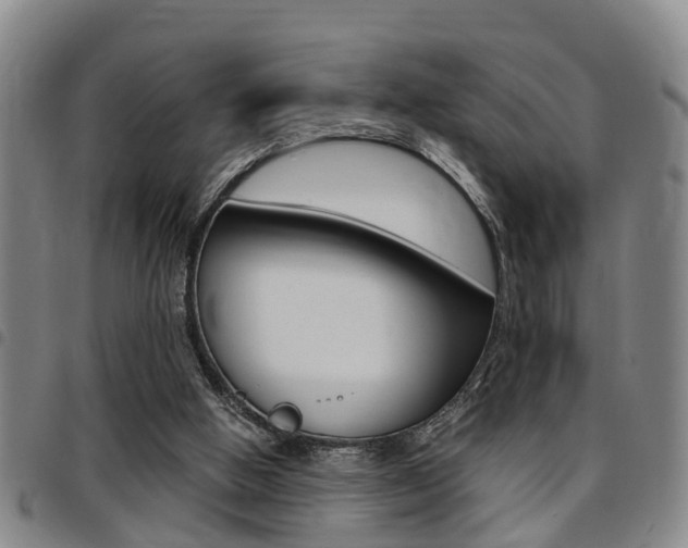 X0000097830058200803140837