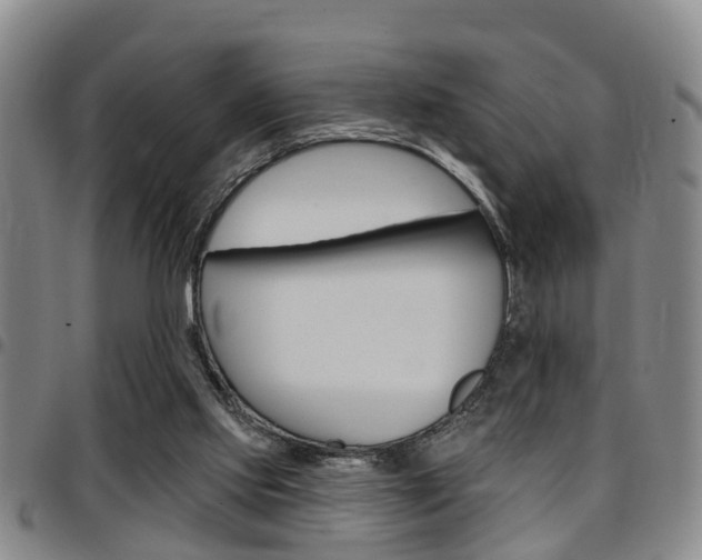 X0000097830061200803140837