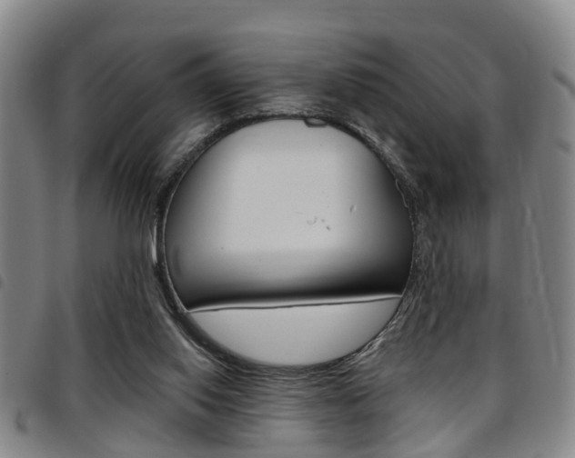X0000097830062200803140837