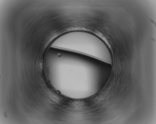 X0000097830063200803140837