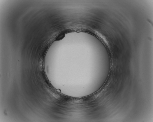 X0000097830065200803140837