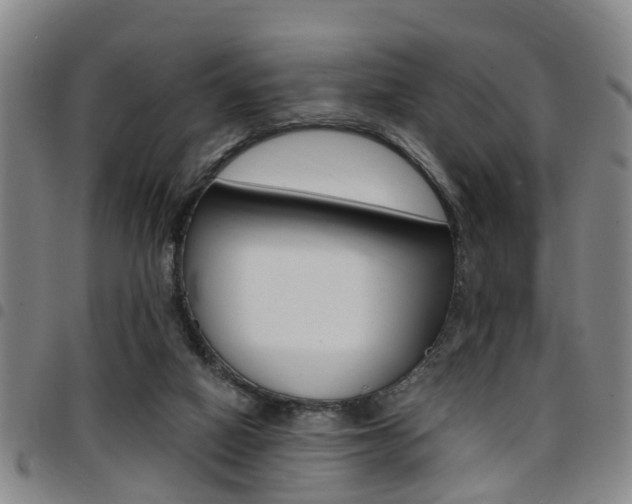 X0000097830066200803140837