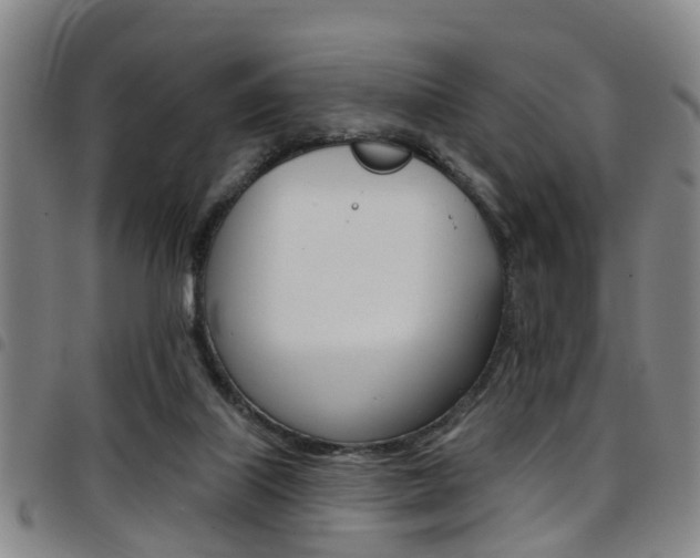 X0000097830067200803140837